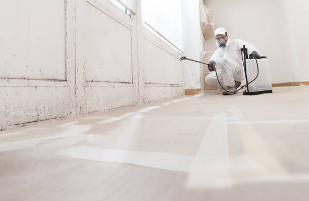 24/7 Emergency Attic Mold Removal experts in Manchester, WA